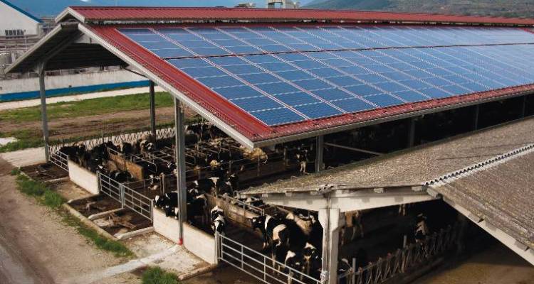 Milleproroghe e rinnovabili: novità per le aziende agricole