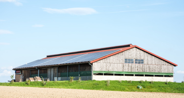 Aziende agricole fotovoltaico: tasse e reddito agricolo