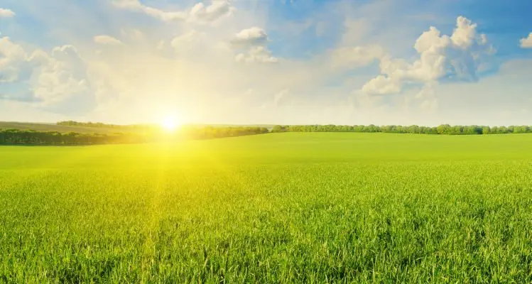Fotovoltaico e agricoltura: una combinazione possibile